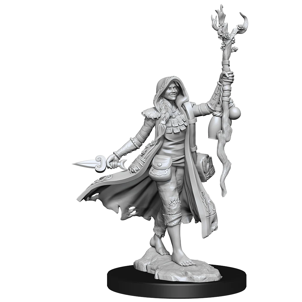 D&D Frameworks: Human Druid Female - Unpainted and Unassembled