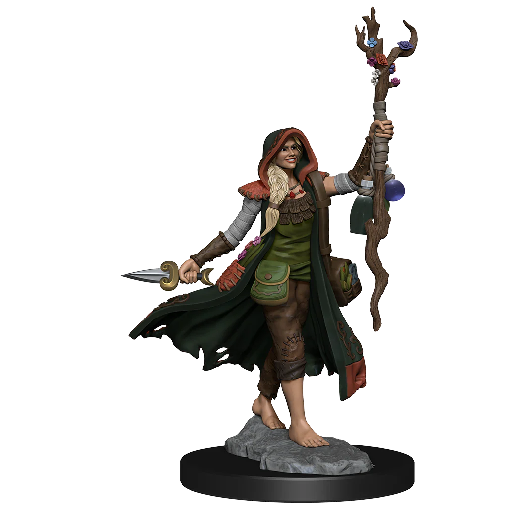 D&D Frameworks: Human Druid Female - Unpainted and Unassembled 3 D&D Frameworks: Human Druid Female - Unpainted and Unassembled
