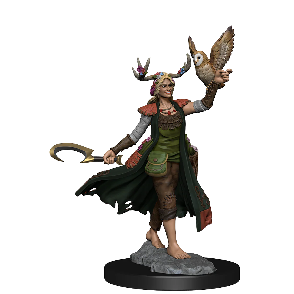 D&D Frameworks: Human Druid Female - Unpainted and Unassembled 5 D&D Frameworks: Human Druid Female - Unpainted and Unassembled