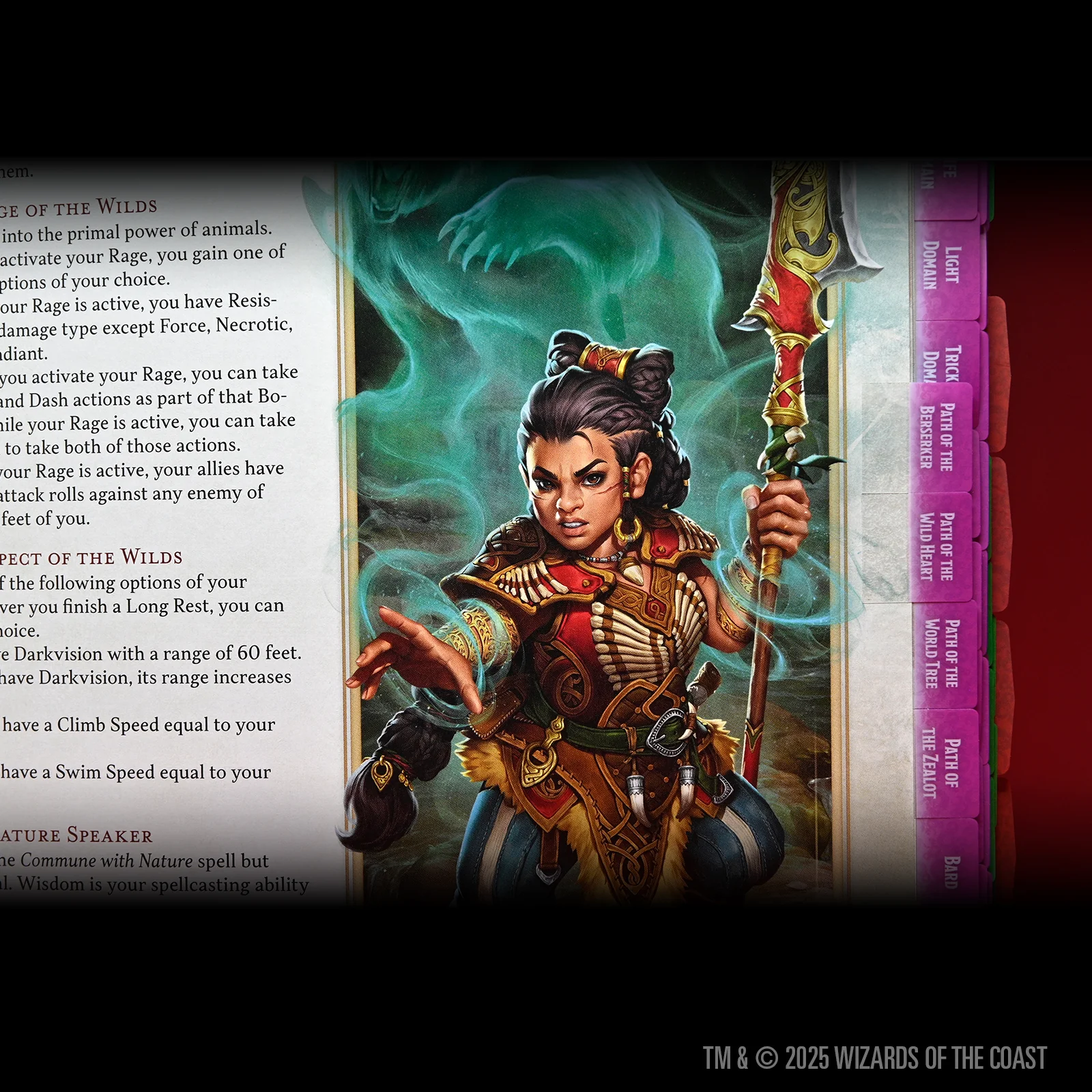 D&D Book Tabs: 2024 Player's Handbook 9 D&D Book Tabs: 2024 Player's Handbook