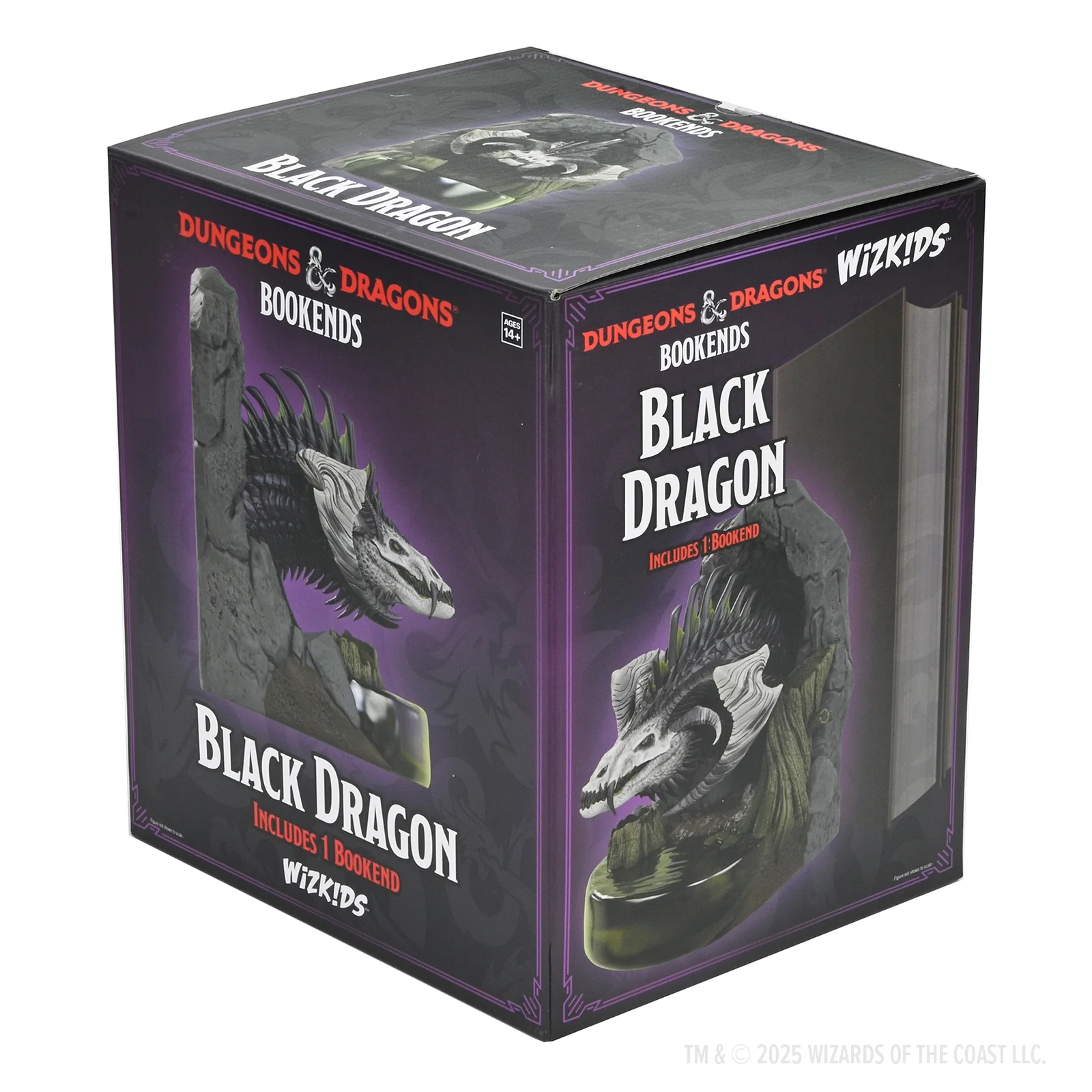 D&D Bookend: Black Dragon