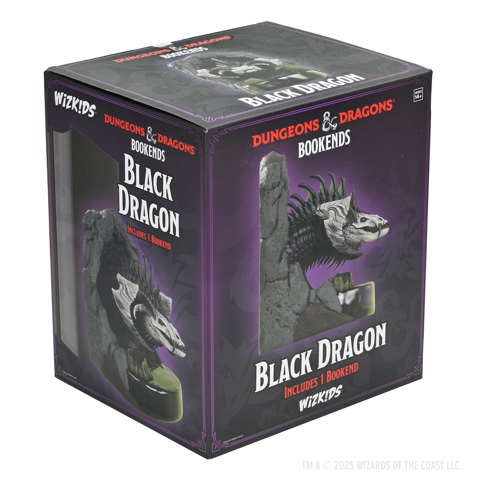 D&D Bookend: Black Dragon