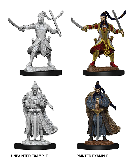 D&D Nolzur's Marvelous Miniatures - Male Elf Paladin