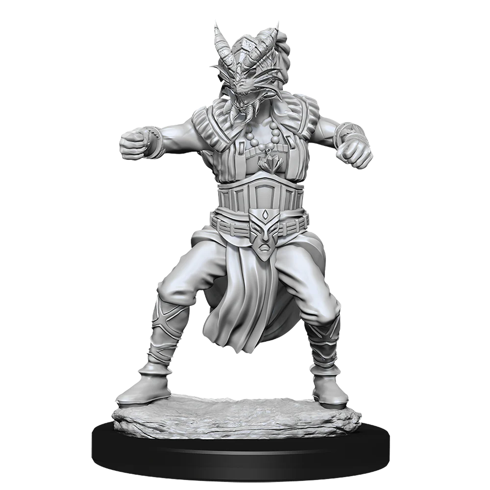 D&D Nolzur's Marvelous Miniatures - Male Human Monk